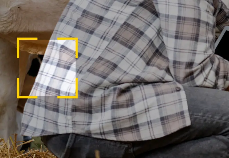 שלדים חיצוניים המותאמים לחקלאים